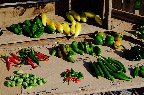 image/_torvedag_roskilde-3730.jpg
