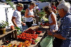 image/_torvedag_roskilde-3731.jpg