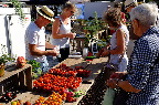 image/_torvedag_roskilde-3732.jpg