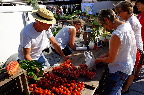image/_torvedag_roskilde-3734.jpg