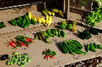 image/_torvedag_roskilde-3736.jpg