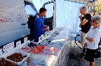 image/_torvedag_roskilde-3744.jpg