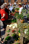 image/_torvedag_roskilde-3757.jpg