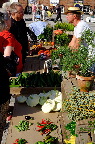 image/_torvedag_roskilde-3758.jpg