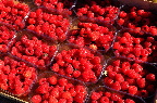 image/_torvedag_roskilde-3770.jpg