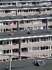 image/_udsigt_over_roskilde-13.jpg