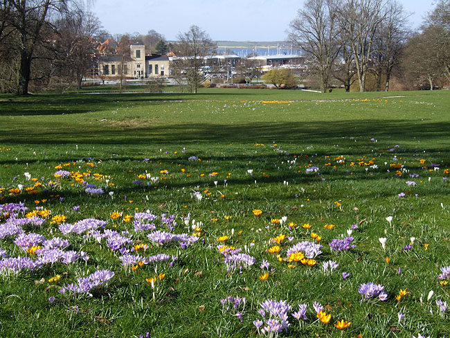 image/byparken-04.jpg