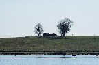 image/_eskilsoe-6610.jpg