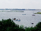 image/_roskilde_fjord-007.jpg