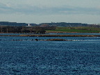 image/_roskilde_fjord-053.jpg