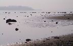 image/_roskilde_fjord-099.jpg