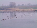 image/_roskilde_fjord-100.jpg