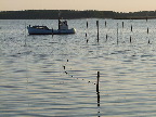 image/_roskilde_fjord-101.jpg