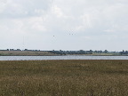 image/_roskilde_fjord-108.jpg