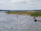 image/_roskilde_fjord-109.jpg
