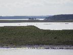 image/_roskilde_fjord-111.jpg