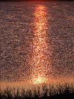 image/_roskilde_fjord-118.jpg
