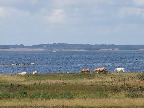 image/_roskilde_fjord-127.jpg