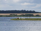 image/_roskilde_fjord-129.jpg