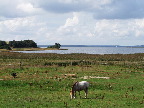 image/_roskilde_fjord-133.jpg