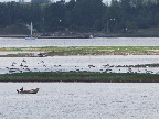 image/_roskilde_fjord-142.jpg