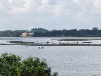 image/_roskilde_fjord-143.jpg