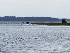 image/_roskilde_fjord-148.jpg