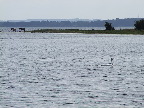image/_roskilde_fjord-149.jpg