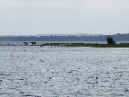 image/_roskilde_fjord-150.jpg
