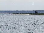 image/_roskilde_fjord-152.jpg