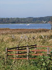 image/_roskilde_fjord-154.jpg