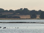 image/_roskilde_fjord-159.jpg