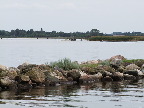 image/_roskilde_fjord-160.jpg
