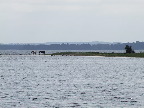image/_roskilde_fjord-162.jpg