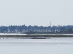 image/_roskilde_fjord-163.jpg