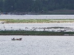 image/_roskilde_fjord-164.jpg