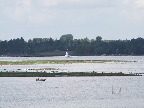 image/_roskilde_fjord-165.jpg