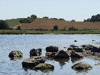image/_roskilde_fjord-168.jpg