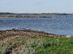 image/_roskilde_fjord-171.jpg