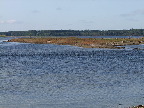 image/_roskilde_fjord-172.jpg