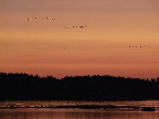 image/_roskilde_fjord-179.jpg