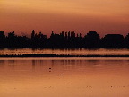 image/_roskilde_fjord-180.jpg