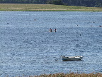 image/_roskilde_fjord-187.jpg