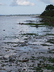 image/_roskilde_fjord-192.jpg