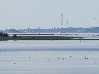 image/_roskilde_fjord-195.jpg