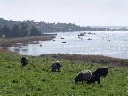 image/_roskilde_fjord-201.jpg