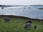 image/_roskilde_fjord-203.jpg