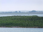 image/_roskilde_fjord-204.jpg