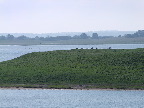 image/_roskilde_fjord-205.jpg