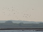 image/_roskilde_fjord-207.jpg